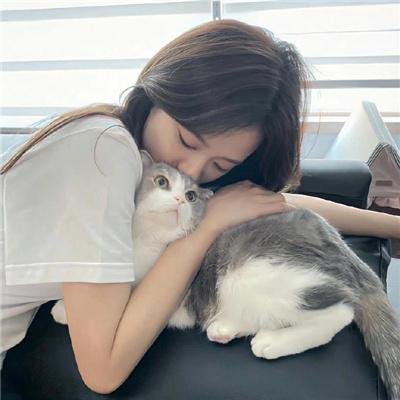 打倒他们