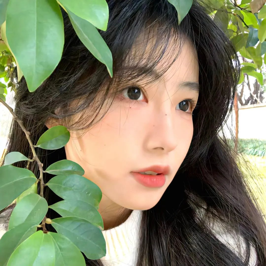告白实行委员会：告白预演